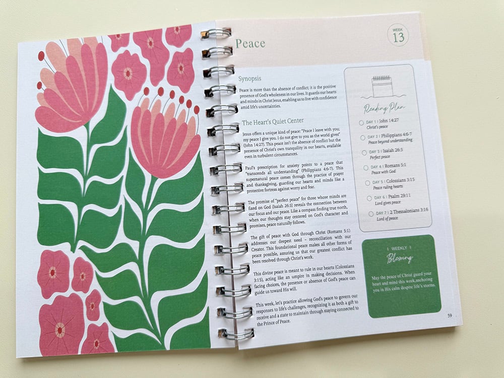 PREORDER: The Bible in One Year! 12.8.25 osym