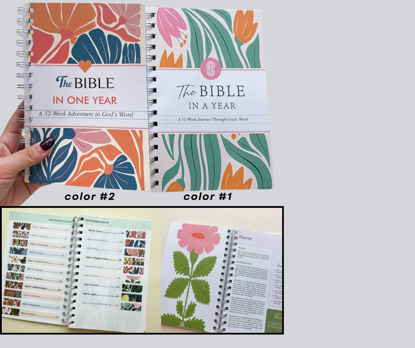 PREORDER: The Bible in One Year! 12.8.25 osym