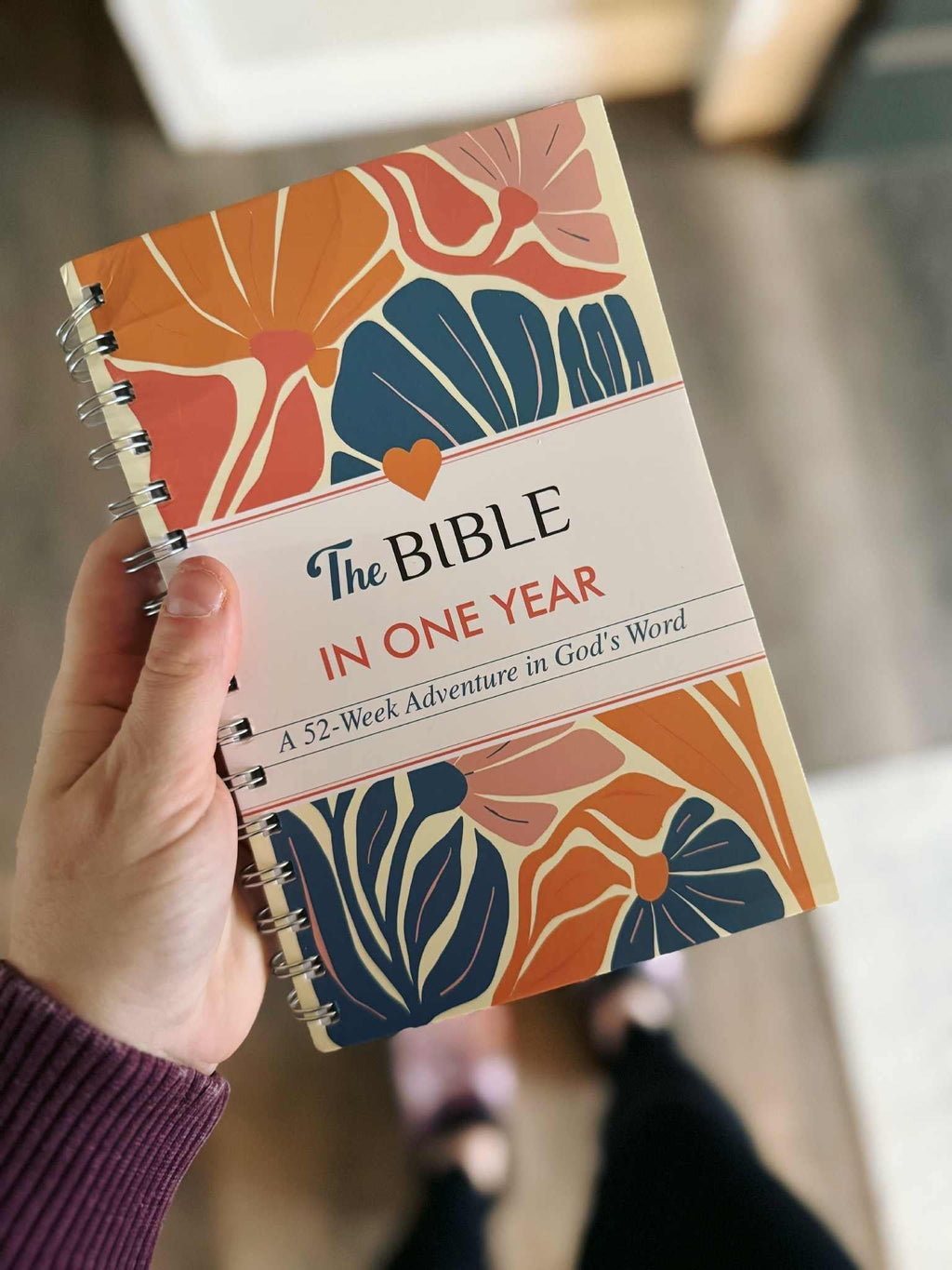 PREORDER: The Bible in One Year! 12.8.25 osym