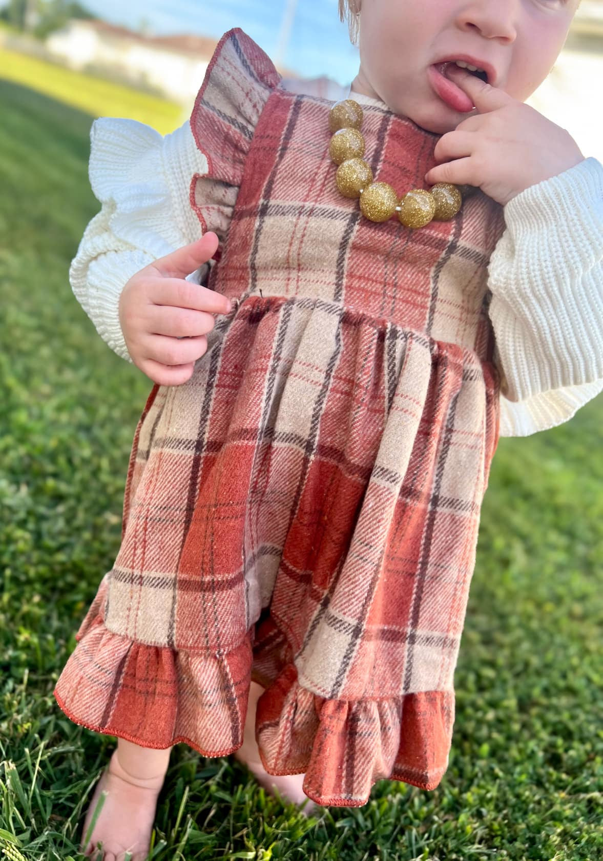 PREORDER: Plaid Ruffle Sleeve Dress 9.23.24 OSYM