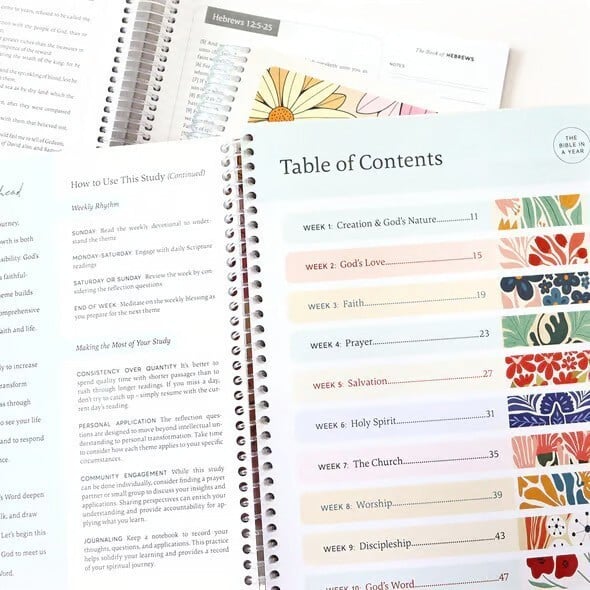 PREORDER: The Bible in One Year! 12.8.25 osym