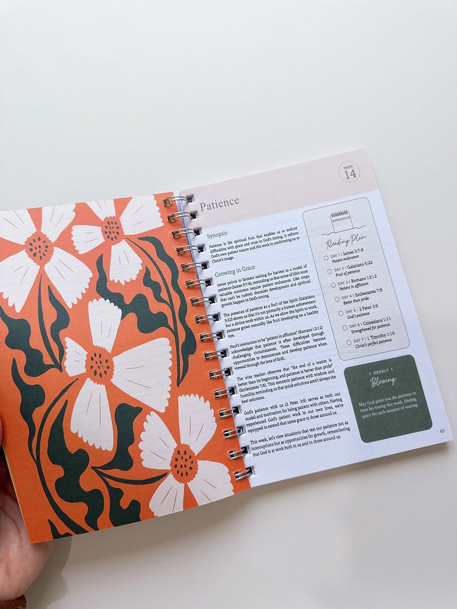 PREORDER: The Bible in One Year! 12.8.25 osym